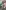 Abstract collection